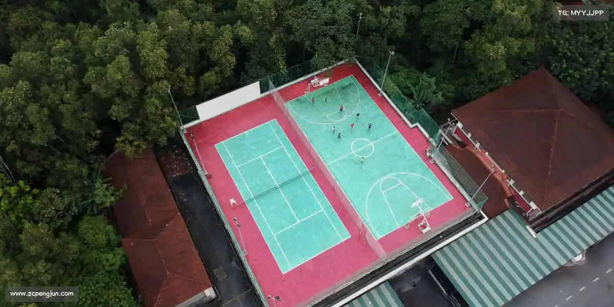 为什么选择我们